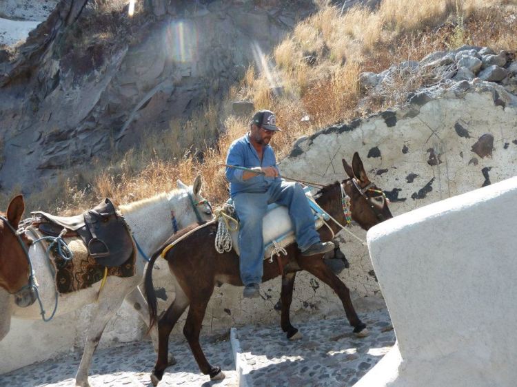 Greece donkey rides